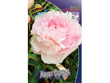 246,4���. ���� ���� �����(�������� ���� �� 1 ��., ����������� ����� 1��.).jpg