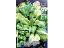 163,4���. ����� ��������(�������� ���� �� 1 ��., ����������� ����� 1��.).jpg