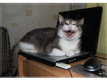 ����-�-�-���?