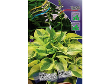 126,9���. ����� ���� ���(�������� ���� �� 1 ��., ����������� ����� 1��.).jpg