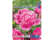 ����� ����� �������.jpg