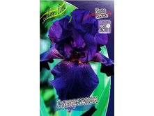 95,3���. ���� ���������� ����������(�������� ���� �� 2 ��., ����������� ����� 1��.).jpg