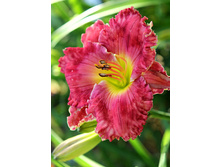 204,9���. �������� ���� ���� ����(�������� ���� �� 1 ��., ����������� ����� 1��.)���16.jpg