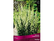 ������ ����������� ������.jpg