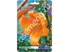 ������� ����.jpg