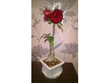 WP 20151013 21 47 21 Pro.jpg