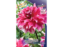 89,4���. �������� ����� ���(�������� ���� �� 1 ��., ����������� ����� 1��.).jpg