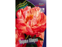 254,7���. ���� ����� ����(�������� ���� �� 1 ��., ����������� ����� 1��.).jpg