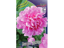 246,4���. ���� ������ ������(�������� ���� �� 1 ��., ����������� ����� 1��.).jpg