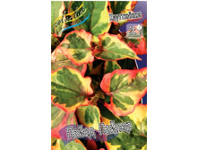 53,5���. ���������� ����� ������(�������� ���� �� 2 ��., ����������� ����� 1��.).jpg