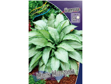 107���. �������� ���� �������(�������� ���� �� 1 ��., ����������� ����� 1��.).jpg