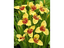 8,38���. �������� �����(���������� ������ ������ ���������� �� 10 ��.).jpg