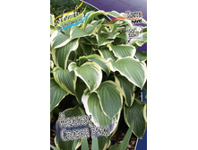 95,4���. ����� ������ ����� ���(�������� ���� �� 1 ��., ����������� ����� 1��.).jpg