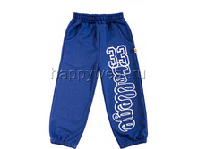 SH1120 ����� front-690x930.jpg