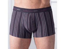 YANIS ����� 385,00