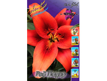 27,02���. ����� ��� �����(�������� ���� �� 5 ��., ����������� ����� 1��.).jpg