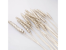 ������� ������� ����� 15 ����. 1004 120�.jpg