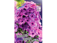 62,77���. ����� ������� ������(�������� ���� �� 3 ��., ����������� ����� 1��.).jpg