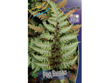 146,8���. ���������� ��� �����(�������� ���� �� 1 ��., ����������� ����� 1��.).jpg