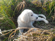 IMG 20151017 132921.jpg