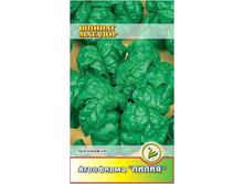 ������ ������� 	2	6,00 ���.