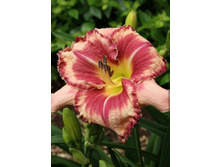 241,4���. �������� ����������(�������� ���� �� 1 ��., ����������� ����� 1��.)���16.jpg