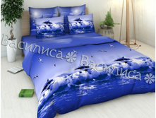 1511 �����.jpg