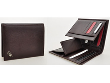 4160 V-BROWN 1105���.jpg