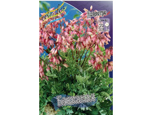 113,7���. �������� ��������(�������� ���� �� 1 ��., ����������� ����� 1��.).jpg