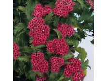 122���. ������ �������� ������.jpg