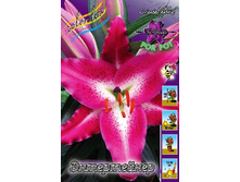 36,54���. ����� �����������(�������� ���� �� 5 ��., ����������� ����� 1��.).jpg