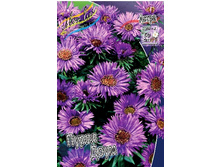 83,8���. ����� ����� ����(�������� ���� �� 1 ��., ����������� ����� 1��.).jpg