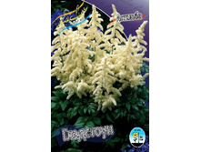 67,6���. �������� ���������(�������� ���� �� 1 ��., ����������� ����� 1��.).jpg