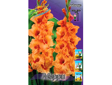 10,18���. ��������� �����(���������� ������ ������ ���������� �� 9 ��.).jpg