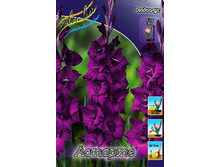 10,19���. ��������� �������(���������� ������ ������ ���������� �� 8 ��.).jpg