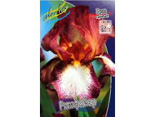 95,3���. ���� ���������� ��������(�������� ���� �� 2 ��., ����������� ����� 1��.).jpg