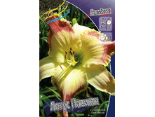 204,9���. �������� ����� ������(�������� ���� �� 1 ��., ����������� ����� 1��.).jpg