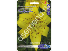 ���� ��������.jpg