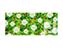 ��������� ������ ����.jpg