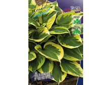 126,9���. ����� ����(�������� ���� �� 1 ��., ����������� ����� 1��.).jpg