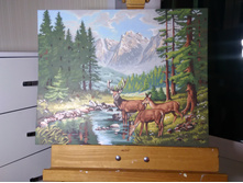 IMG 20151011 021457.jpg