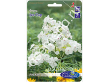 ��� ���.jpg