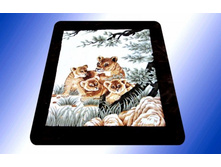 �����, 7084.jpg