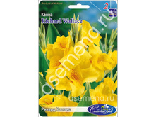 ������ ������.jpg