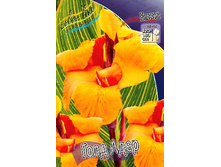 95,4���. ����� (�����) ���� ����(�������� ���� �� 1 ��., ����������� ����� 1��.).jpg