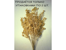 11/0003� �����