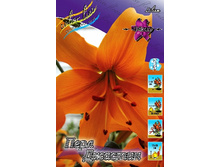 37,4���. ����� ���� �������(�������� ���� �� 5 ��., ����������� ����� 1��.).jpg