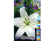 18,79���. ����� �������(���������� �� ����� �������� �� 7��.).jpg