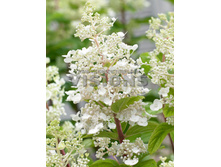 299���. ��������� ����������� ����� ���� ���16.jpg