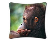 ������� �������� (����������)+ html m5d236ae9.jpg